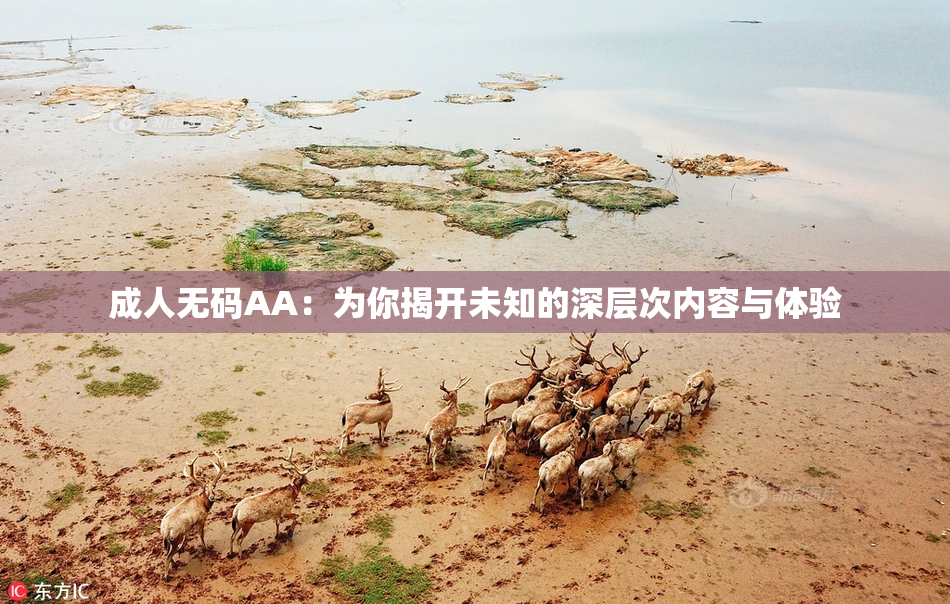 成人无码AA：为你揭开未知的深层次内容与体验