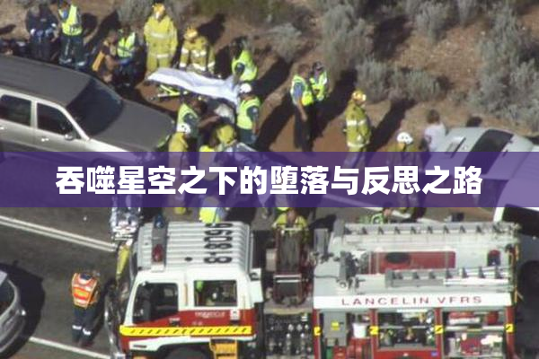 吞噬星空之下的堕落与反思之路