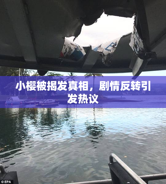 小樱被揭发真相，剧情反转引发热议
