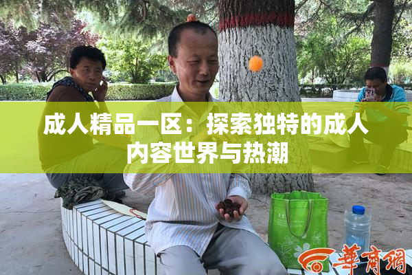 成人精品一区：探索独特的成人内容世界与热潮