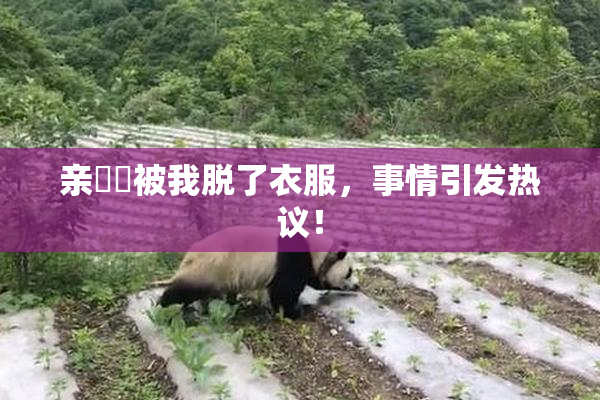 亲妺妺被我脱了衣服，事情引发热议！