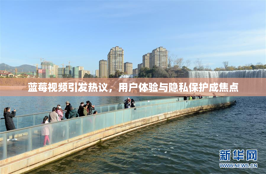 蓝莓视频引发热议，用户体验与隐私保护成焦点