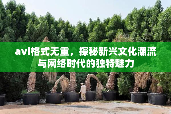 avi格式无重，探秘新兴文化潮流与网络时代的独特魅力