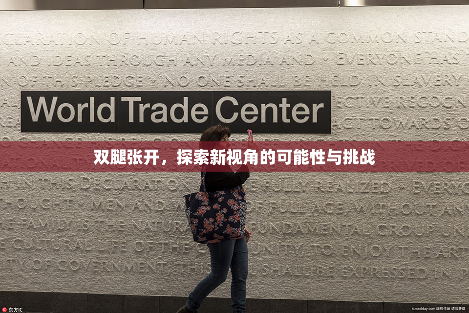 双腿张开，探索新视角的可能性与挑战
