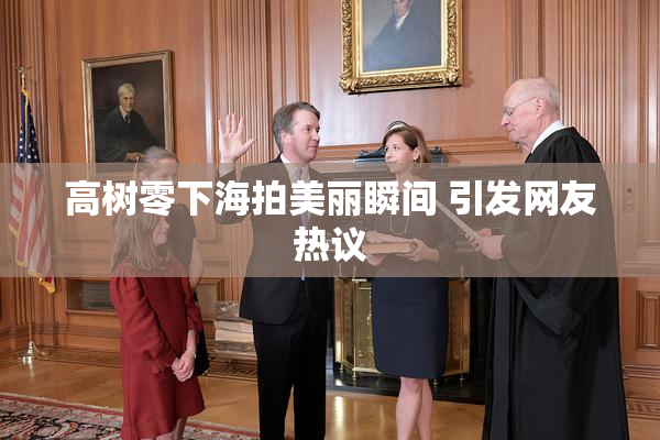 高树零下海拍美丽瞬间 引发网友热议