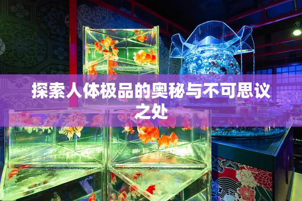 探索人体极品的奥秘与不可思议之处