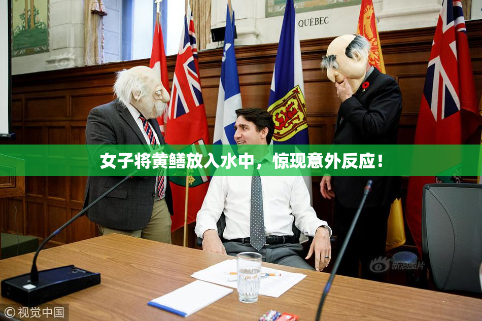 女子将黄鳝放入水中，惊现意外反应！