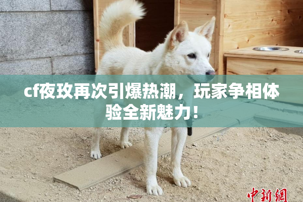cf夜玫再次引爆热潮，玩家争相体验全新魅力！