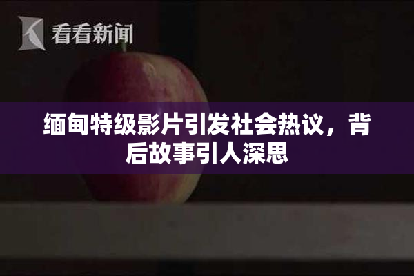 缅甸特级影片引发社会热议，背后故事引人深思