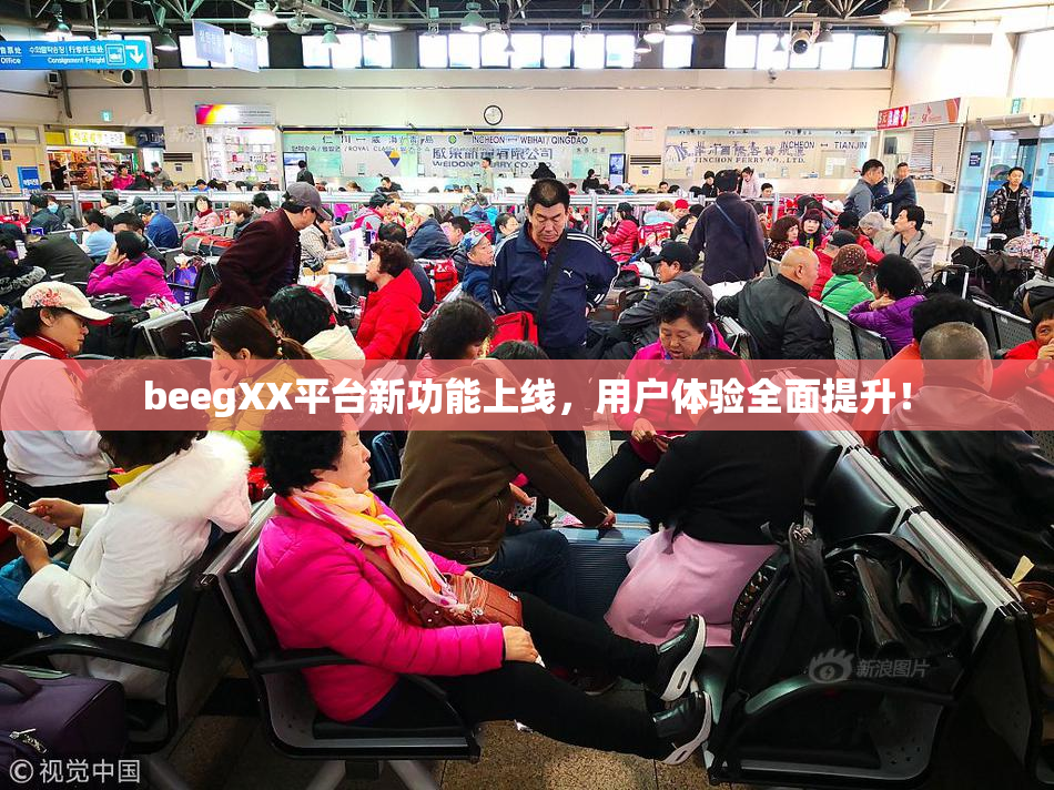 beegXX平台新功能上线，用户体验全面提升！