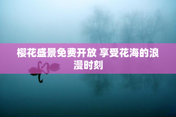 樱花盛景免费开放 享受花海的浪漫时刻