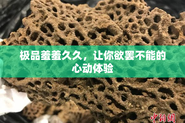 极品羞羞久久，让你欲罢不能的心动体验