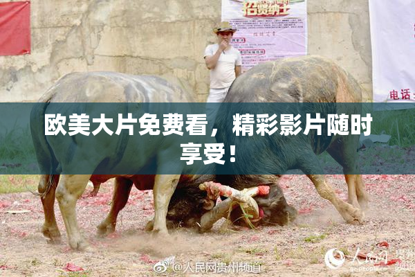 欧美大片免费看，精彩影片随时享受！