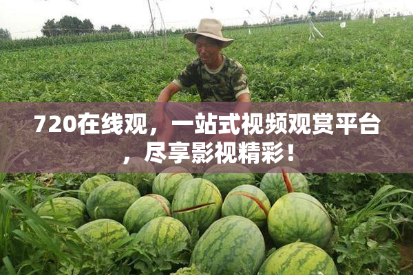 720在线观，一站式视频观赏平台，尽享影视精彩！