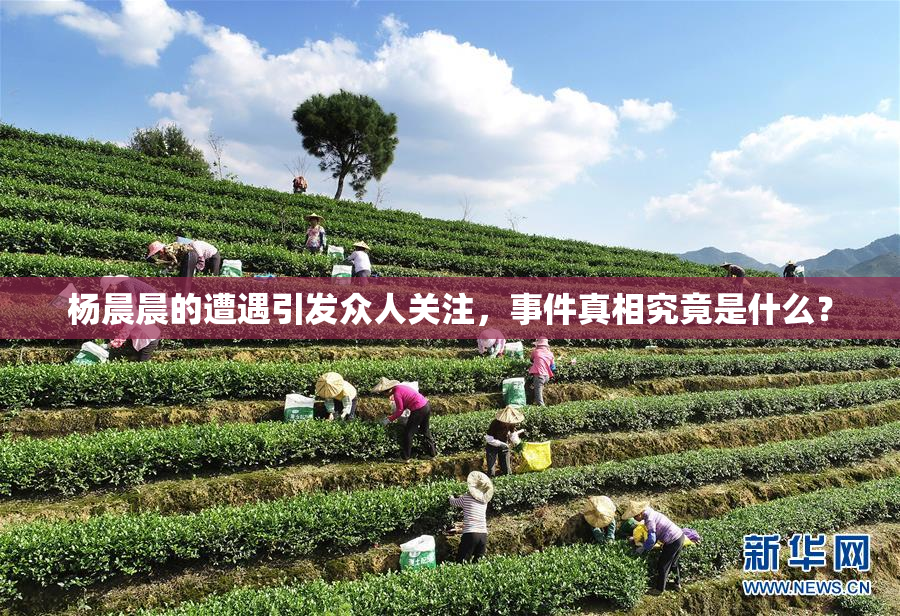 杨晨晨的遭遇引发众人关注，事件真相究竟是什么？