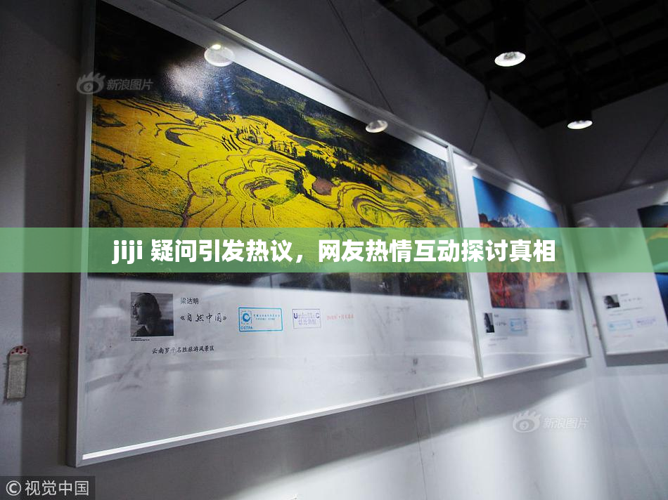 jiji 疑问引发热议，网友热情互动探讨真相