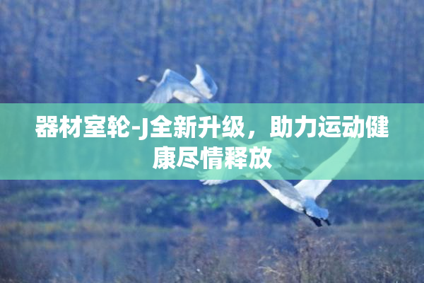 器材室轮-J全新升级，助力运动健康尽情释放