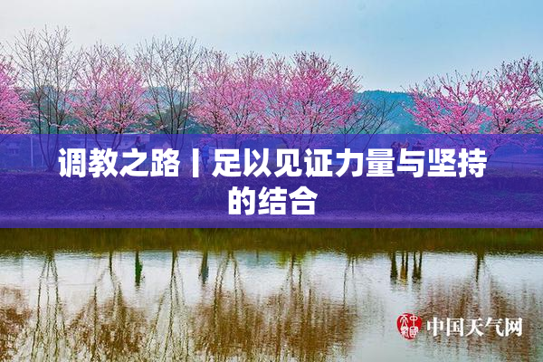 调教之路丨足以见证力量与坚持的结合