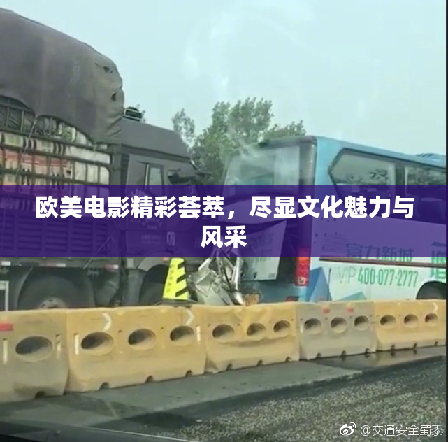 欧美电影精彩荟萃，尽显文化魅力与风采