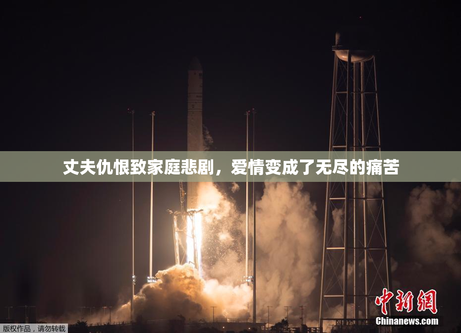 丈夫仇恨致家庭悲剧，爱情变成了无尽的痛苦