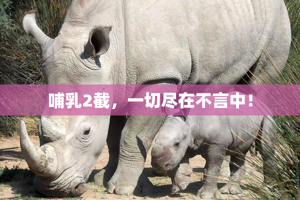哺乳2截，一切尽在不言中！