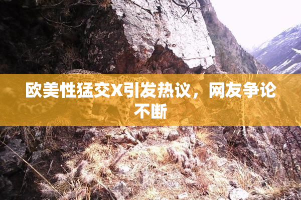 欧美性猛交X引发热议，网友争论不断