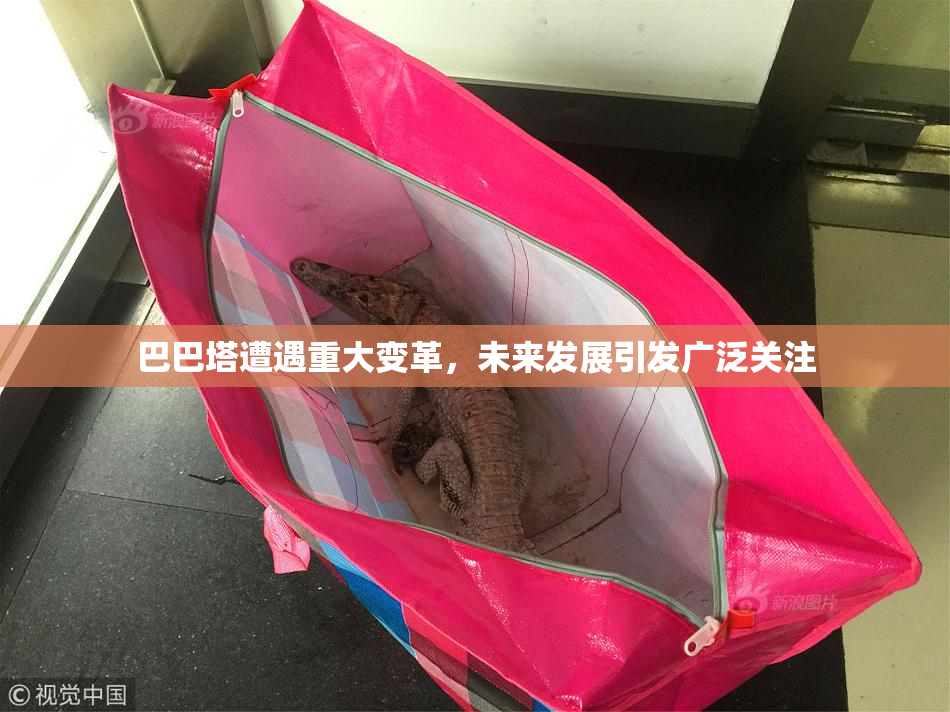 巴巴塔遭遇重大变革，未来发展引发广泛关注