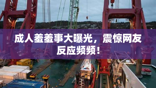 成人羞羞事大曝光，震惊网友反应频频！