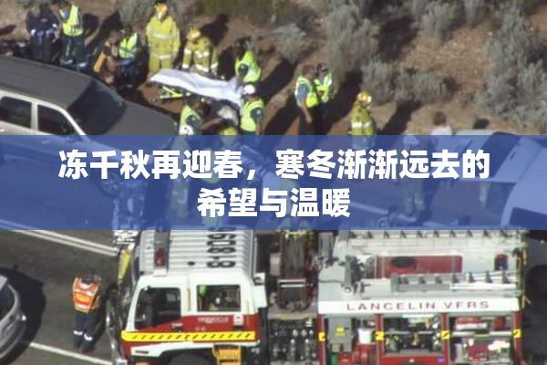冻千秋再迎春，寒冬渐渐远去的希望与温暖