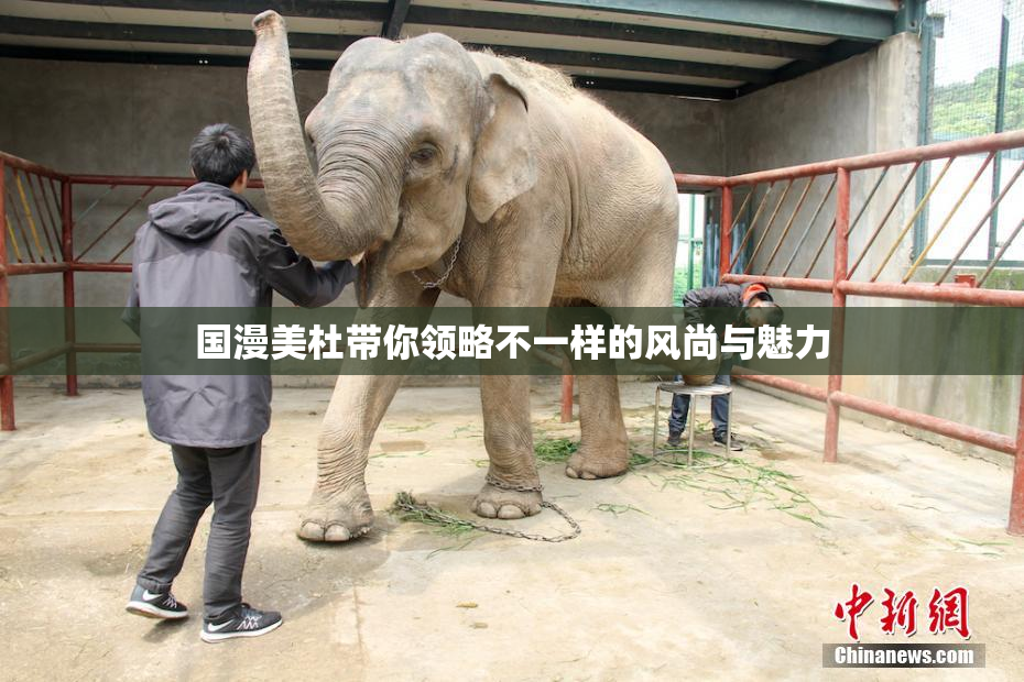 国漫美杜带你领略不一样的风尚与魅力