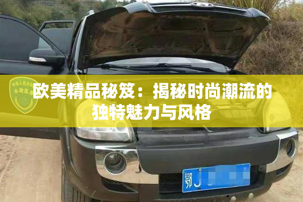 欧美精品秘笈：揭秘时尚潮流的独特魅力与风格