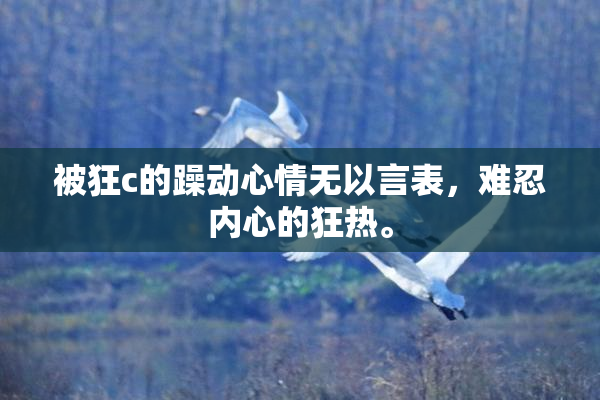 被狂c的躁动心情无以言表，难忍内心的狂热。