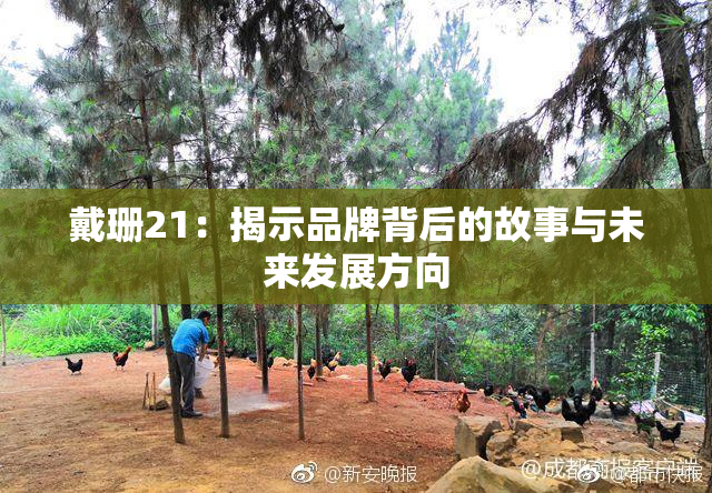戴珊21：揭示品牌背后的故事与未来发展方向
