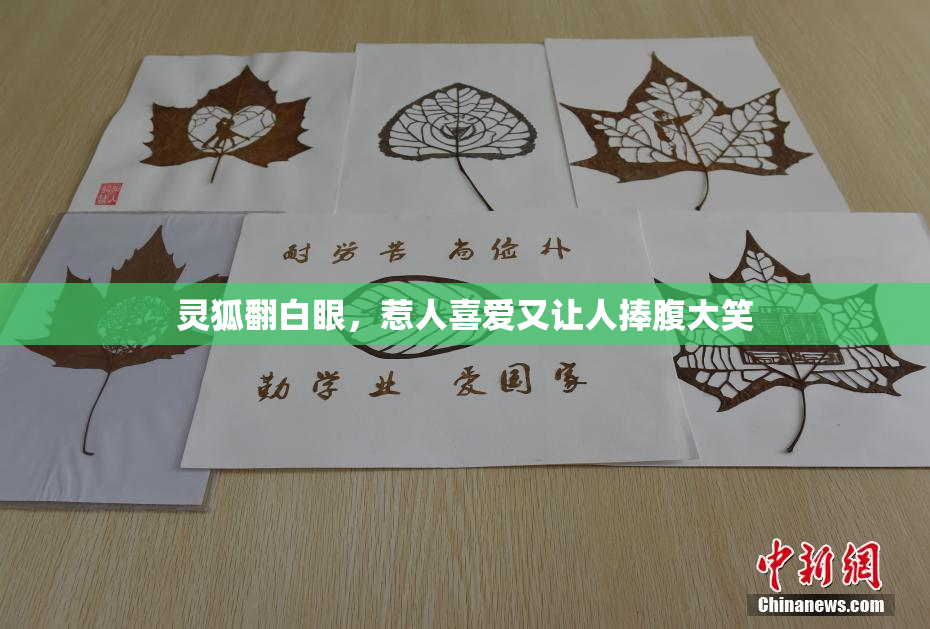 灵狐翻白眼，惹人喜爱又让人捧腹大笑