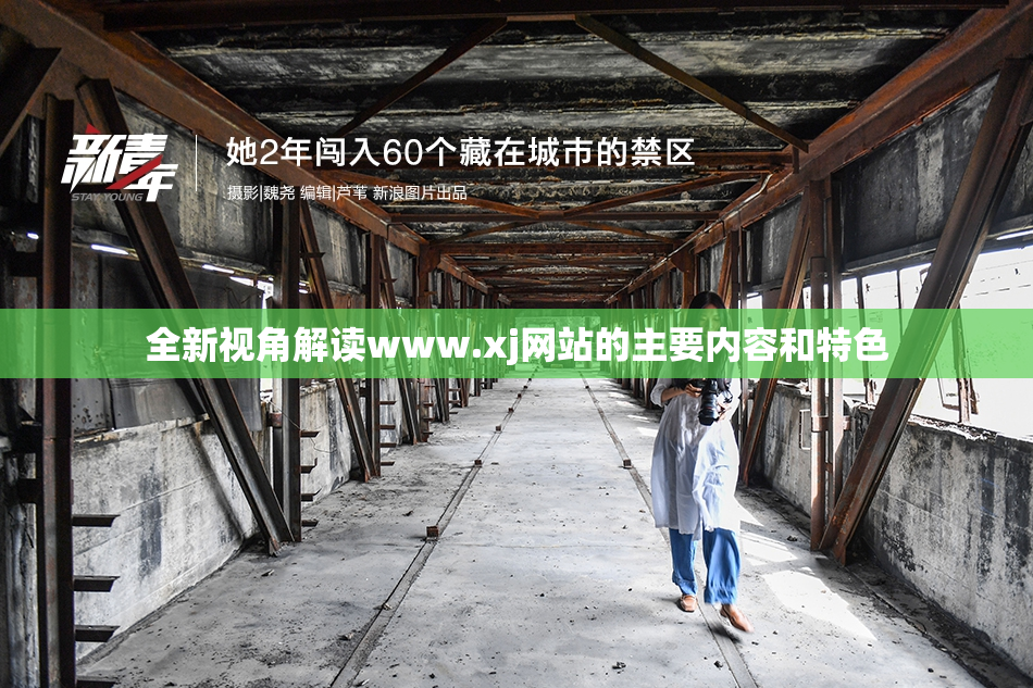 全新视角解读www.xj网站的主要内容和特色