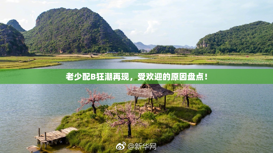老少配B狂潮再现，受欢迎的原因盘点！