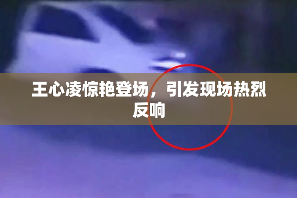 王心凌惊艳登场，引发现场热烈反响