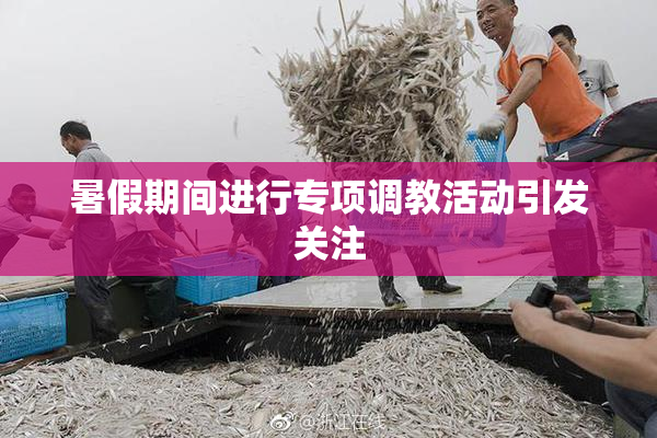 暑假期间进行专项调教活动引发关注
