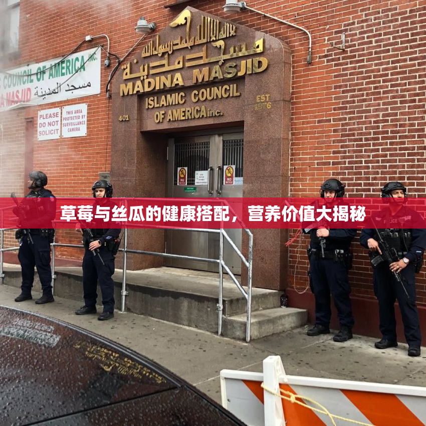 草莓与丝瓜的健康搭配，营养价值大揭秘