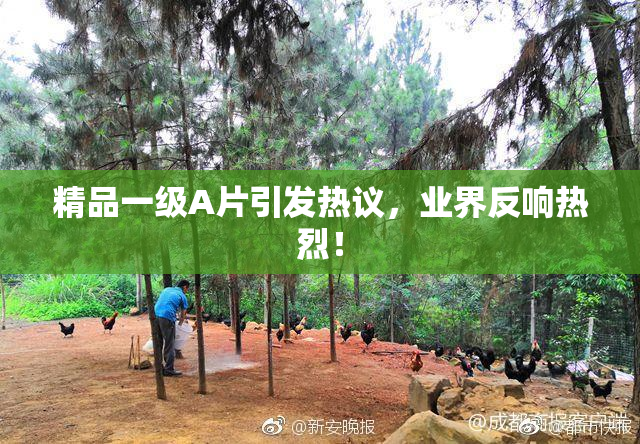 精品一级A片引发热议，业界反响热烈！