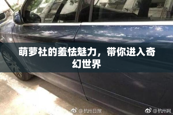萌萝社的羞怯魅力，带你进入奇幻世界