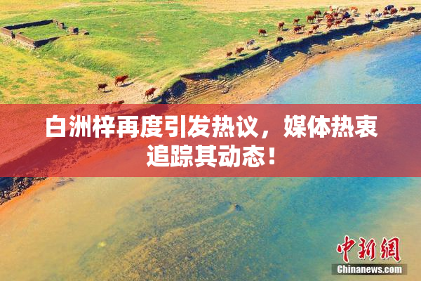 白洲梓再度引发热议，媒体热衷追踪其动态！