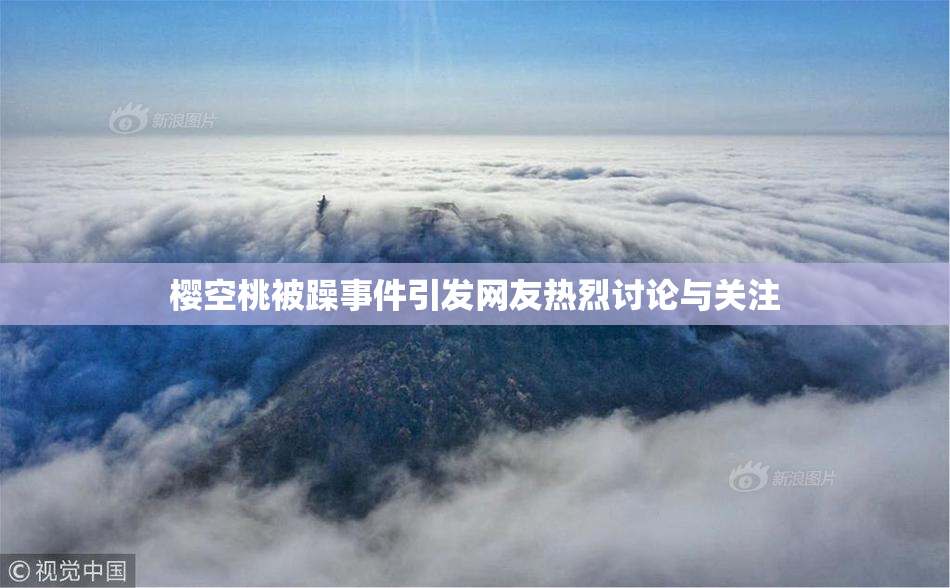 樱空桃被躁事件引发网友热烈讨论与关注