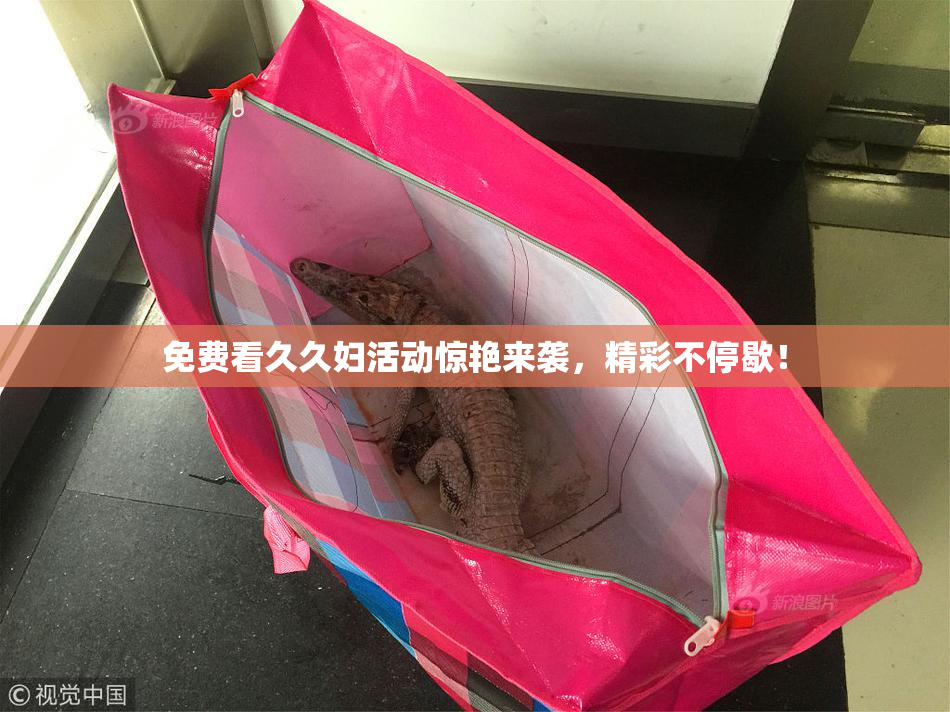 免费看久久妇活动惊艳来袭，精彩不停歇！