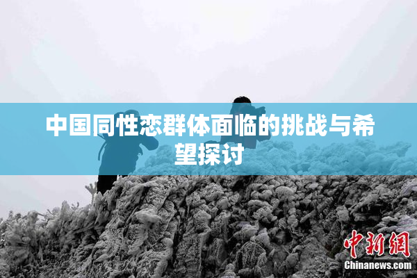 中国同性恋群体面临的挑战与希望探讨