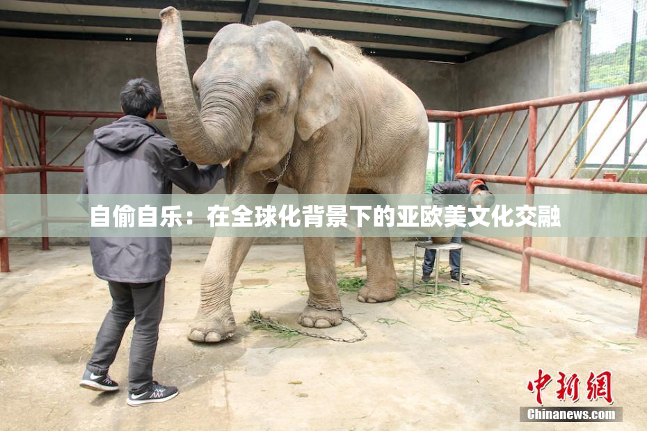 自偷自乐：在全球化背景下的亚欧美文化交融
