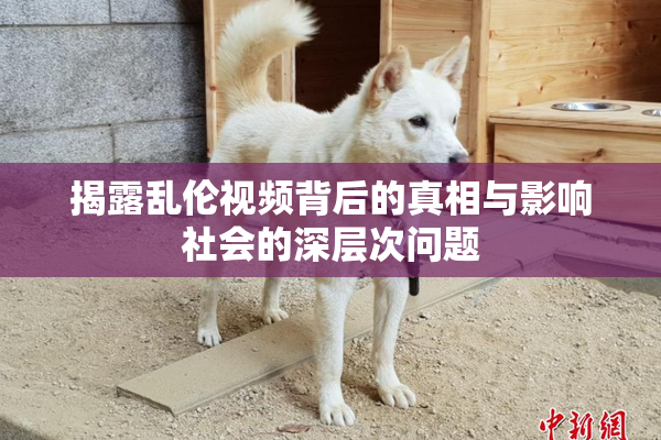揭露乱伦视频背后的真相与影响社会的深层次问题