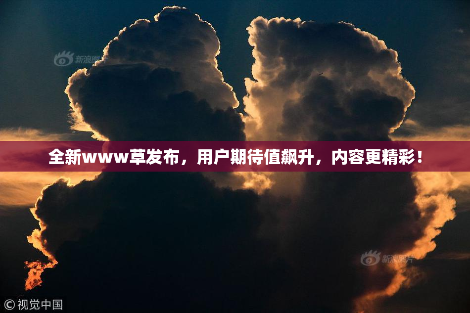 全新www草发布，用户期待值飙升，内容更精彩！