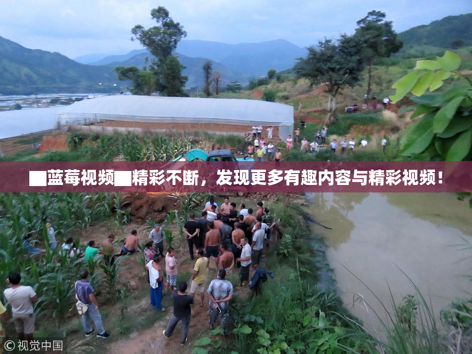 ▇蓝莓视频▇精彩不断，发现更多有趣内容与精彩视频！