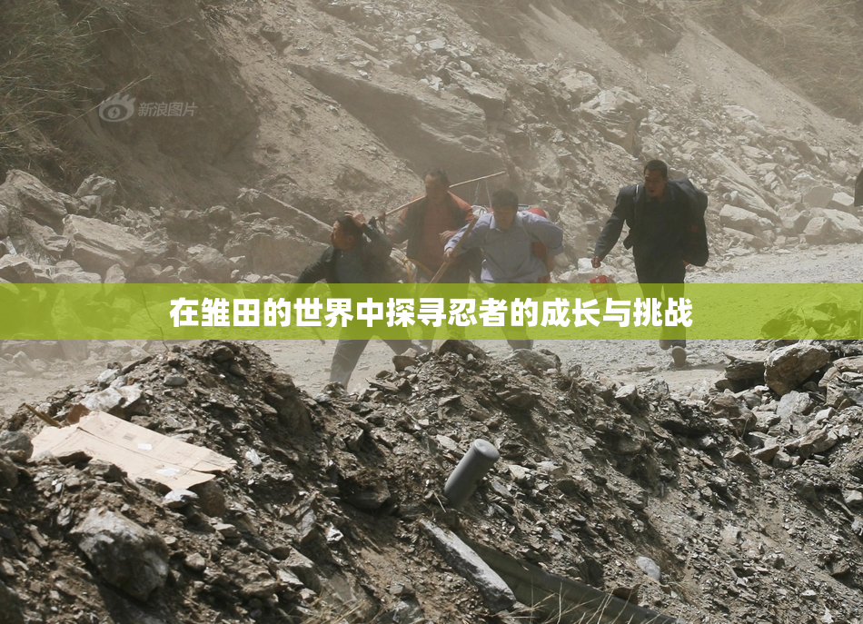 在雏田的世界中探寻忍者的成长与挑战